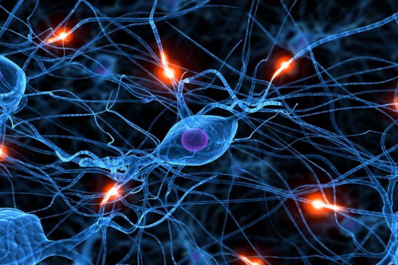 Ученые ЛЭТИ обучили нейросеть выявлять по рентгеновским снимкам патологии легких при COVID-19